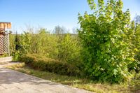 Blick von der Terrasse